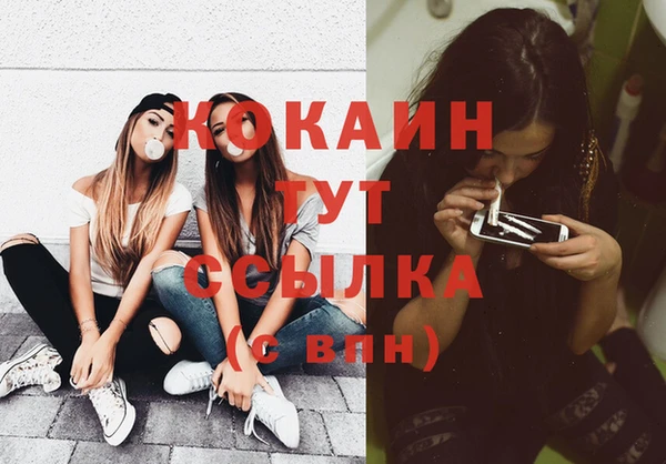 apvp Каменка