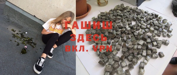 apvp Каменка