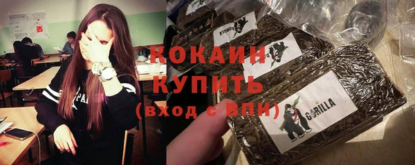 apvp Каменка