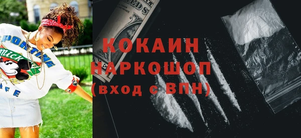 apvp Каменка